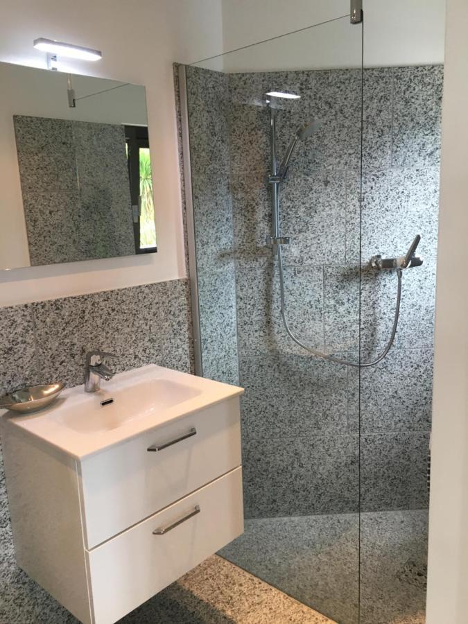 Rustico Resa: Brione Sopra Minusio Villa Buitenkant foto